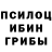 Галлюциногенные грибы Psilocybine cubensis Grisha Pyataev