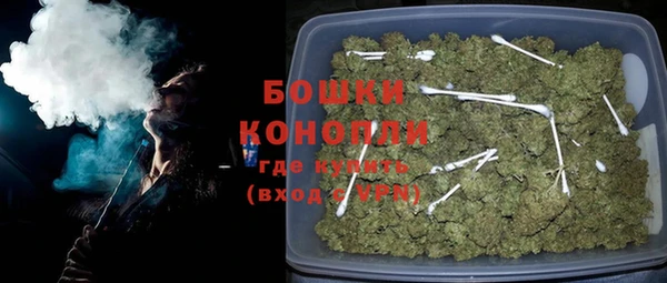 гидра Аркадак