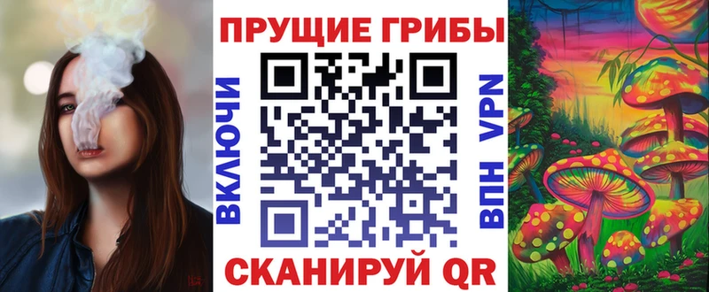 купить закладку  Старый Оскол  Псилоцибиновые грибы Magic Shrooms 